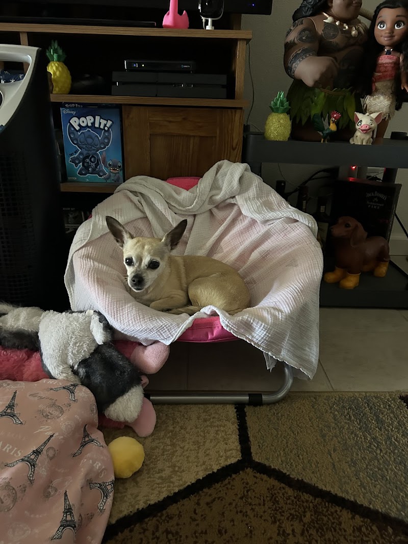 Bishop Veterinary Hospital at Ridgecrest