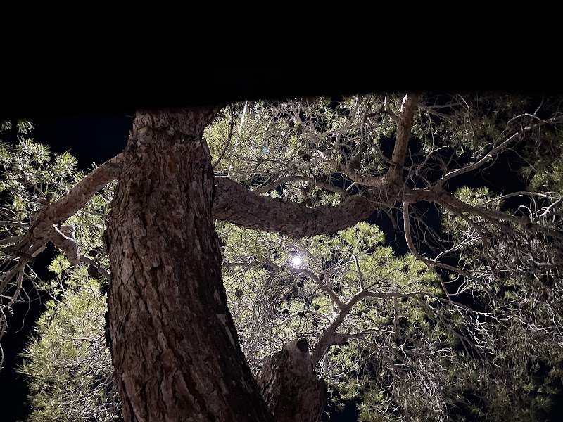 Ridgecrest Plaza Shopping Center